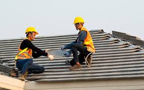 Best Sheet Metal Roofing  in Chatfield, MN